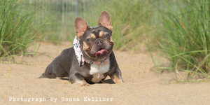 We're Running a Giveaway for Donna Kelliher's Photography!