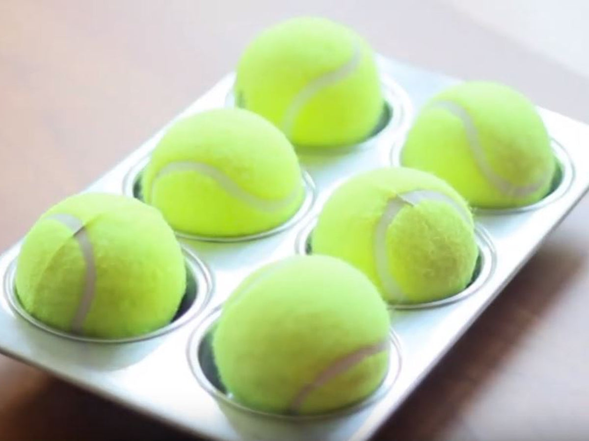 DIY Dog Brain Teaser Toy Petwell Supply