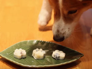 DIY Frozen Yogurt Dog Treats