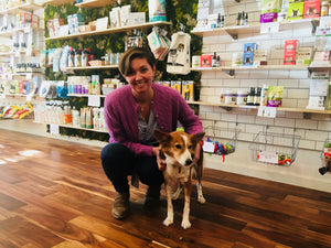 Petwell Supply featured in Somerville Patch