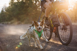 Ruffwear Is Here!!