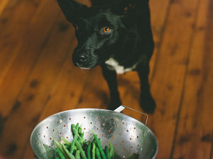 DIY Crunchy Green Bean Dog Treats