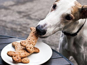 What Makes a Healthy Dog Treat?