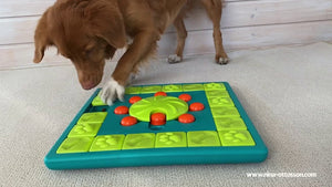 The Pros of Dog Puzzles!