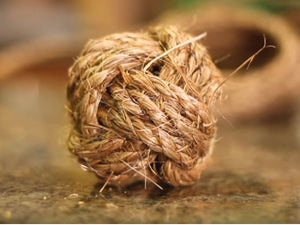 DIY Monkey Knot Dog Toy (+Surprise!)