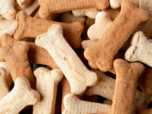 Bones & Treats
