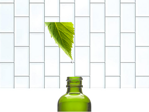 Holistic Pet Remedies