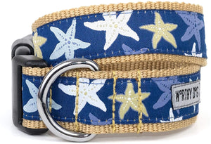 The Worthy Dog Star Blue Dog Collar Size Small