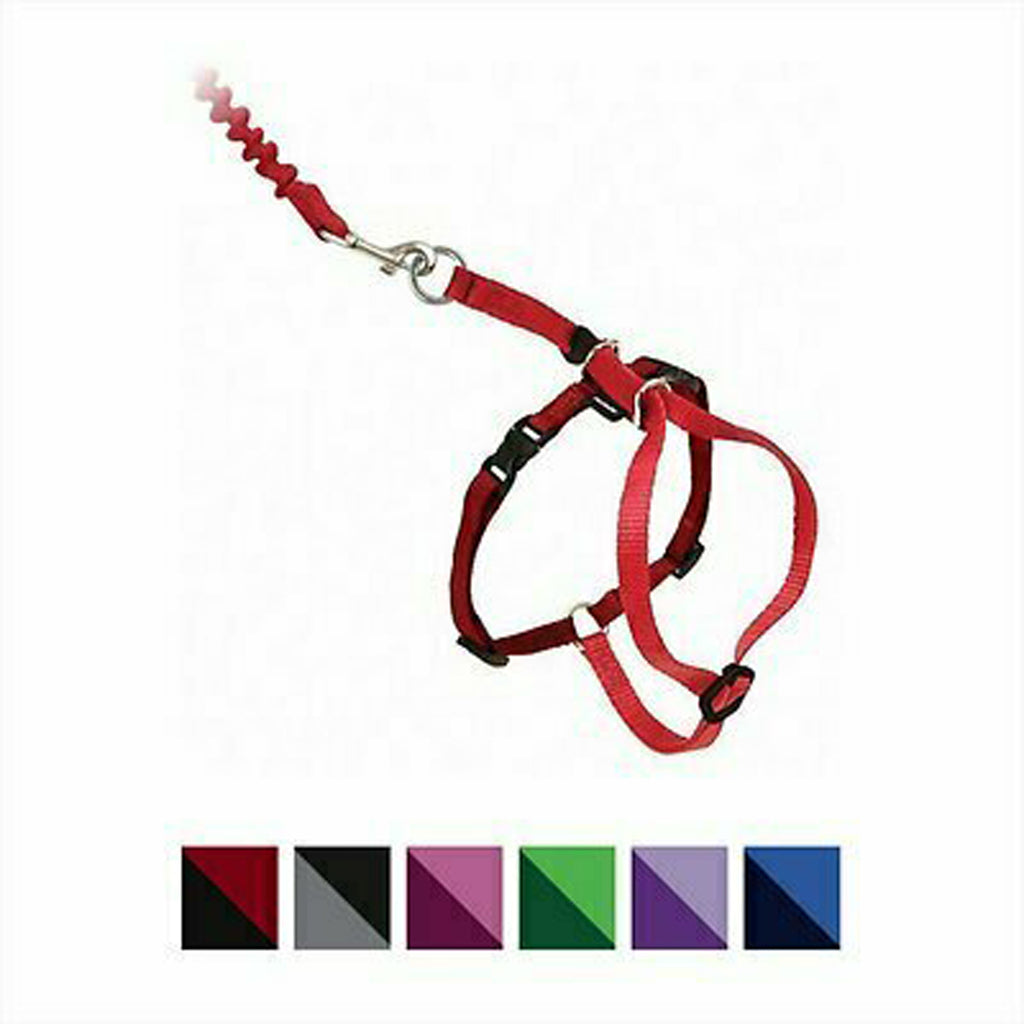 PetSafe Premier Come With Me Kitty Harness & Bungee Leash Combo Red, Cranberry Small