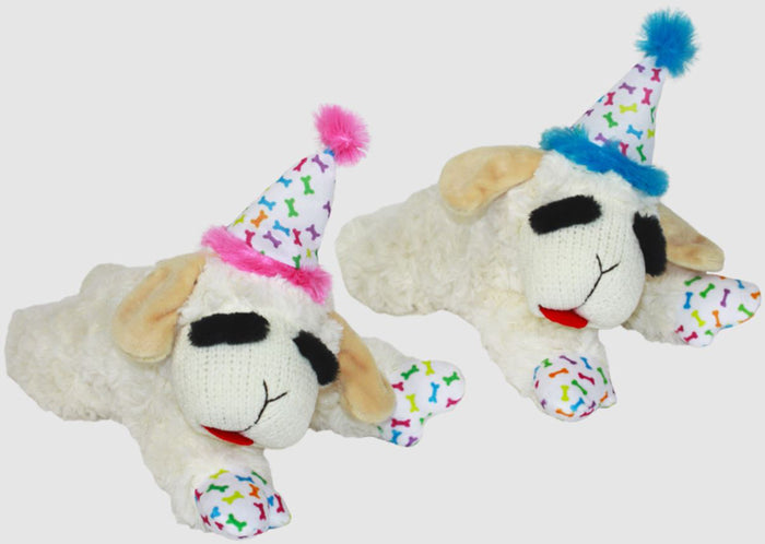 Multipet Lamb Chop with Birthday Hat (Blue/Pink Assorted) 10.5 inch Dog Toy