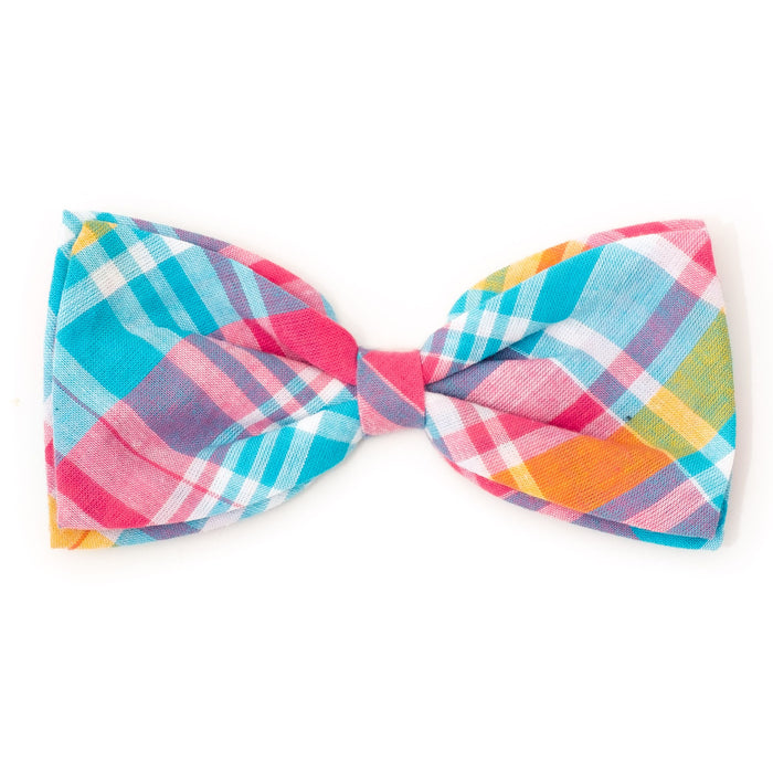 The Worthy Dog Madras Bow Tie