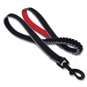 Kurgo Springback Lite Dog Leash - 30" Running Leash