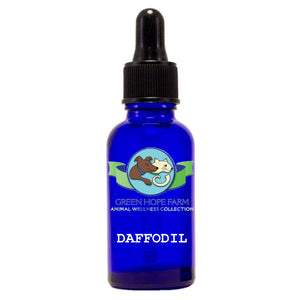 Green Hope Farm Flower Essence - Daffodil