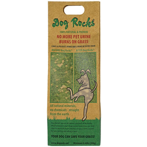 Dog Rocks