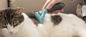 FURminator Undercoat deShedding Tool for Cats