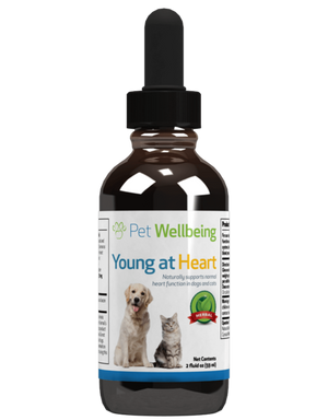 Pet Wellbeing - Young at Heart for Dogs and Cats