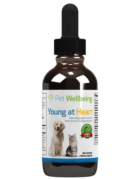 Pet Wellbeing - Young at Heart for Dogs and Cats