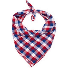 The Worthy Dog Red, White & Blue Bandana