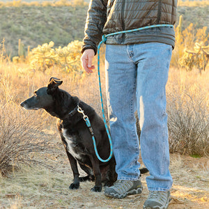 Upcycled Mountain Dog Original Earth-Friendly 7 Foot Dog Versatile Leash